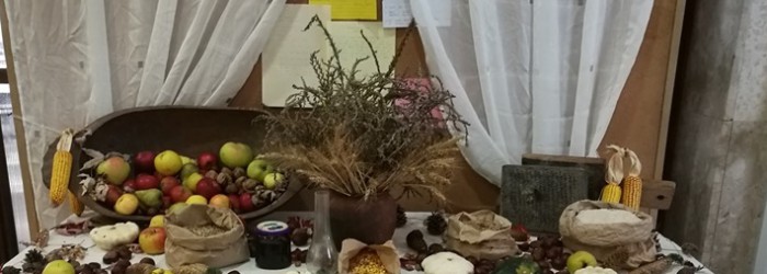 U našim školama obilježeni su Dani kruha i zahvalnosti za plodove zemlje