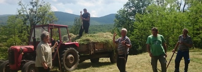 Kuljani u radnoj akciji čišćenja groblja