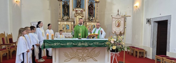 Petnaesta nedjelja kroz godinu