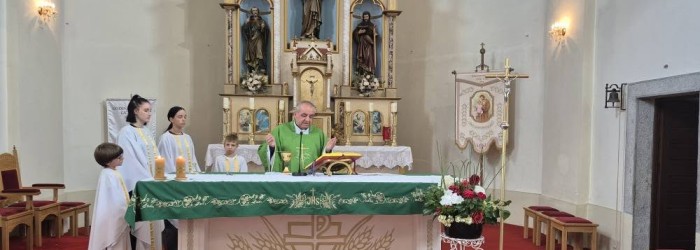 Šesnaesta nedjelja kroz godinu