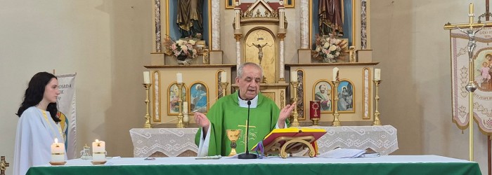 Šesnaesta nedjelja kroz godinu